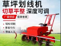 点击查看详细信息<br>标题：草皮划线机 阅读次数：2816
